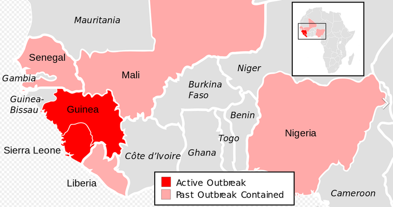 Illustration for article titled Approaching Zero: How West Africa is Crushing the Ebola Epidemic